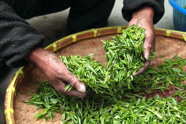 Artistic tea brewing process
